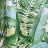 Palm & Palms ASP4136 - Green